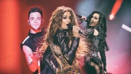 Luca Hänni, Eleni Foureira und Chanel. (Collage) © NDR/EBU Foto: Andres Putting / Rolf Klatt / Corinne Cumming